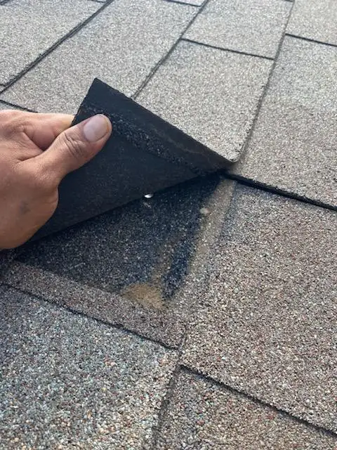 Wind-lifted shingle found during a roof inspection in Carrollton, TX