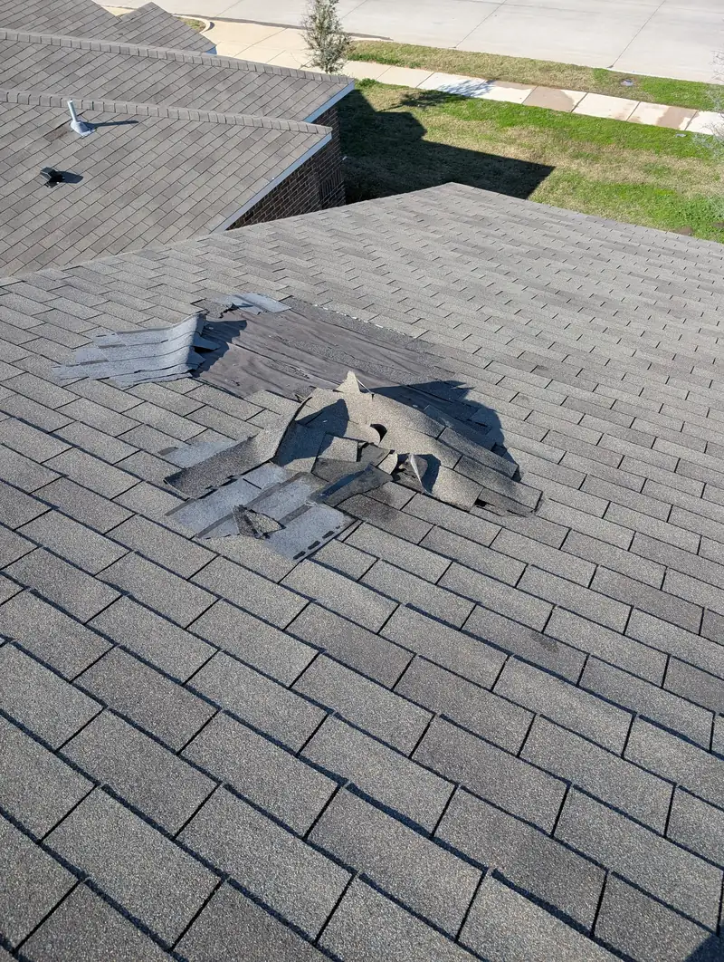 Wind-damaged shingles